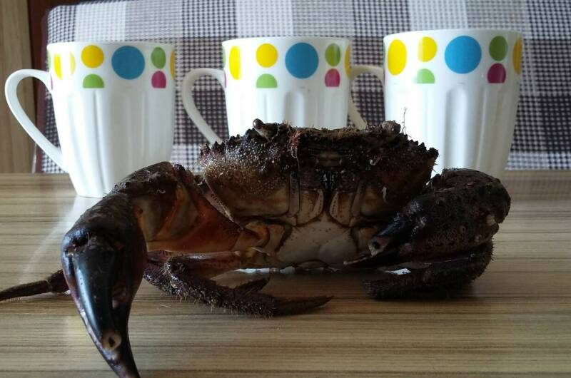 Изображение Изображение гостиницы &quot;Гостевой дом «Tifani»&quot; #2 #2