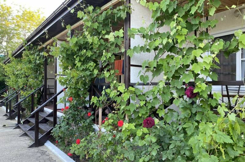 Изображение Изображение гостиницы &quot;Гостевой дом на Коммунистической 42&quot; #1 #1