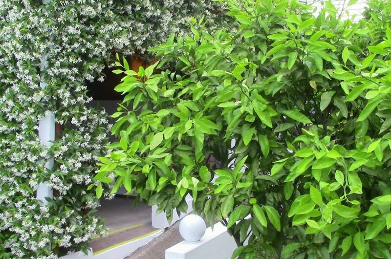 Изображение Изображение гостиницы &quot;Гостевой дом «Бирюзовая Бездна»&quot; #5 #5