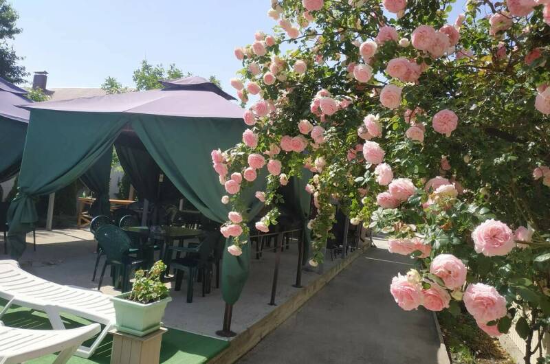 Изображение Изображение гостиницы "Мини-гостиница «Лето Club»" #5 #5