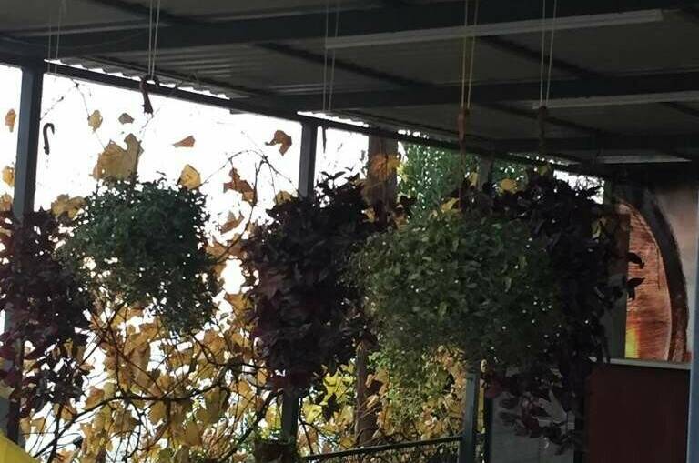 Изображение Изображение гостиницы &quot;Гостевой дом «Аракс»&quot; #6 #6