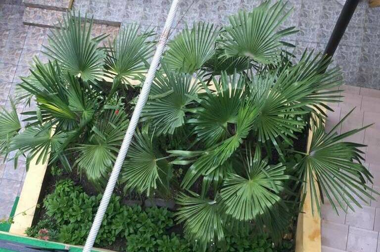 Изображение Изображение гостиницы &quot;Гостевой дом «Аракс»&quot; #8 #8