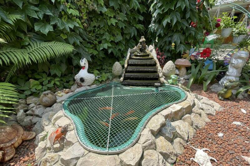 Изображение Изображение гостиницы &quot;Частный сектор «Маргарита»&quot; #8 #8