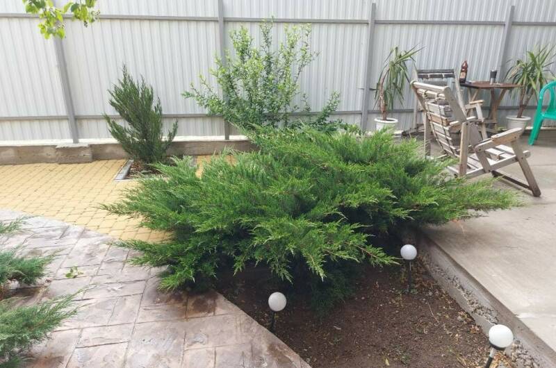 Изображение Изображение гостиницы &quot;Гостевой дом «Центральный»&quot; #8 #8