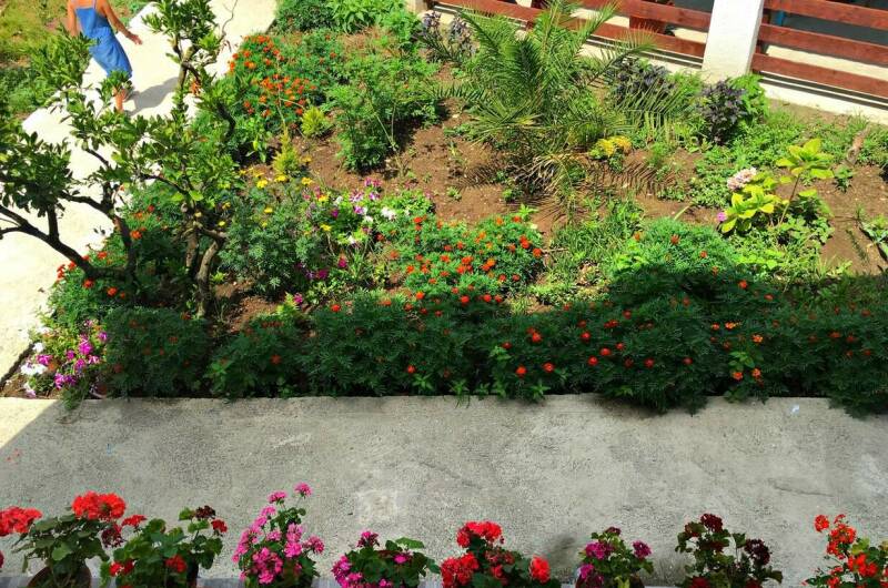 Изображение Изображение гостиницы "Гостевой дом «Южный»" #4 #4