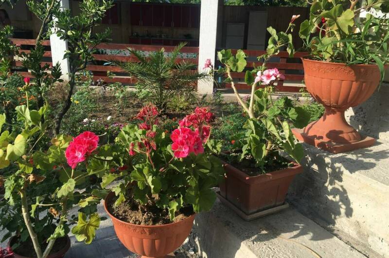 Изображение Изображение гостиницы "Гостевой дом «Южный»" #7 #7