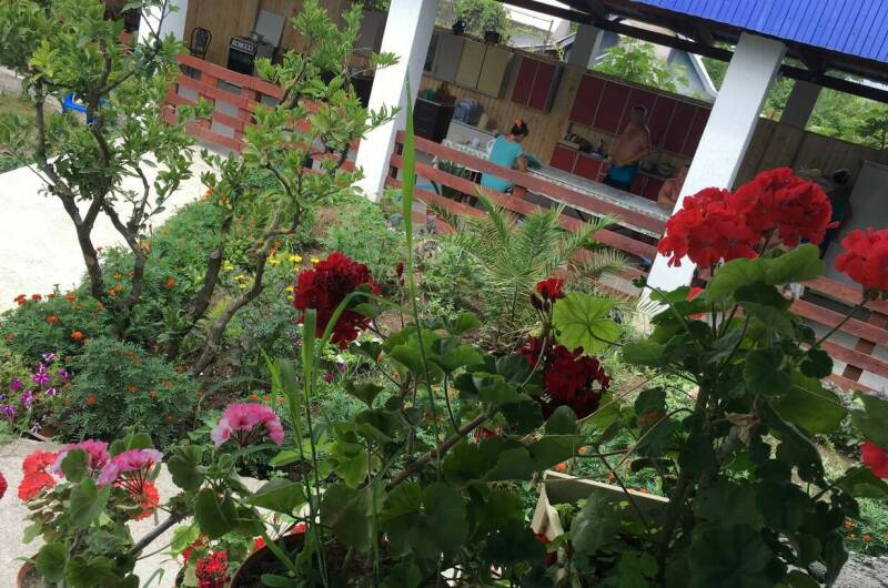 Изображение Изображение отеля / гостиницы "Гостевой дом «Южный»" #10 #8