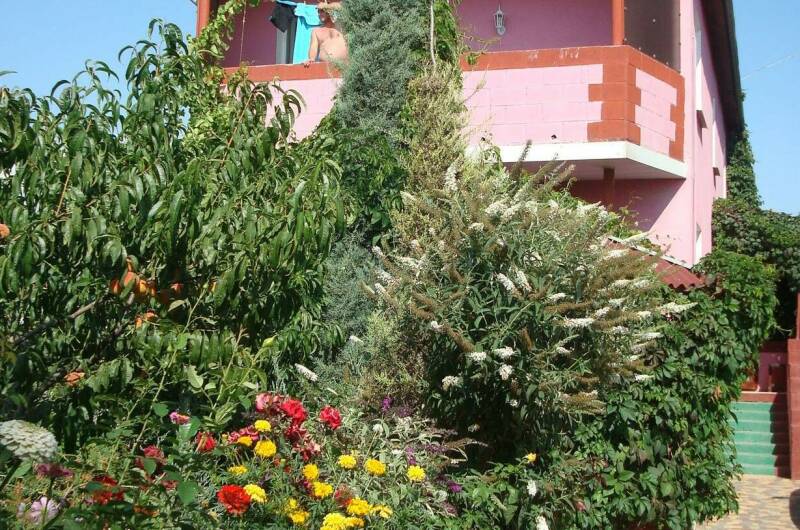 Изображение Изображение отеля / гостиницы "Гостевой дом «У Алены»" #10 #8