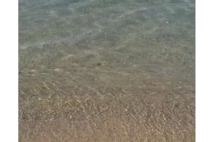 Изображение Изображение гостиницы &quot;Апарт-отель «Жасмин»&quot; #5 #5