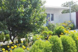 Изображение Гостевой дом «Ромашка» #6