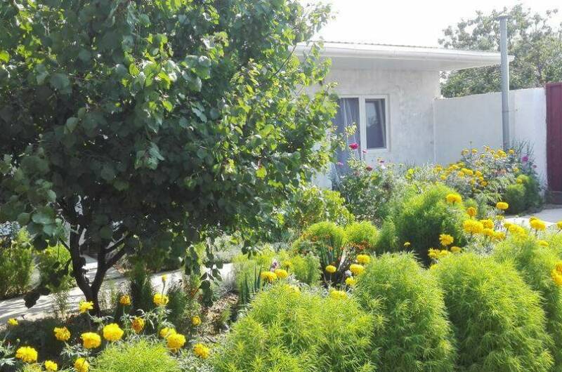 Изображение Изображение гостиницы &quot;Гостевой дом «Ромашка»&quot; #1 #1