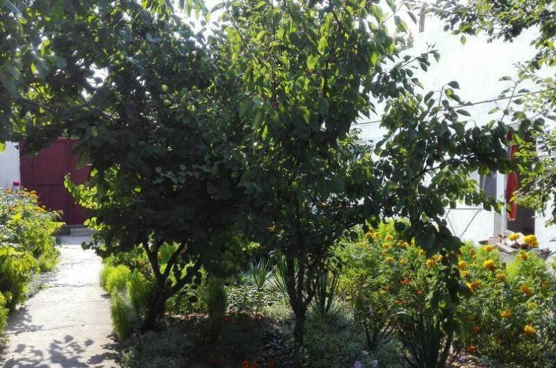 Изображение Изображение гостиницы &quot;Гостевой дом «Ромашка»&quot; #7 #7