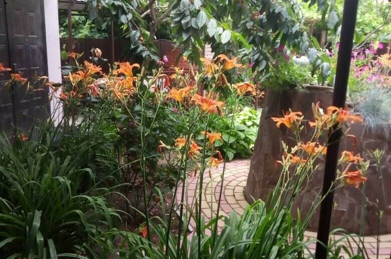 Изображение Изображение гостиницы "Гостевой дом «Алина»" #8 #8