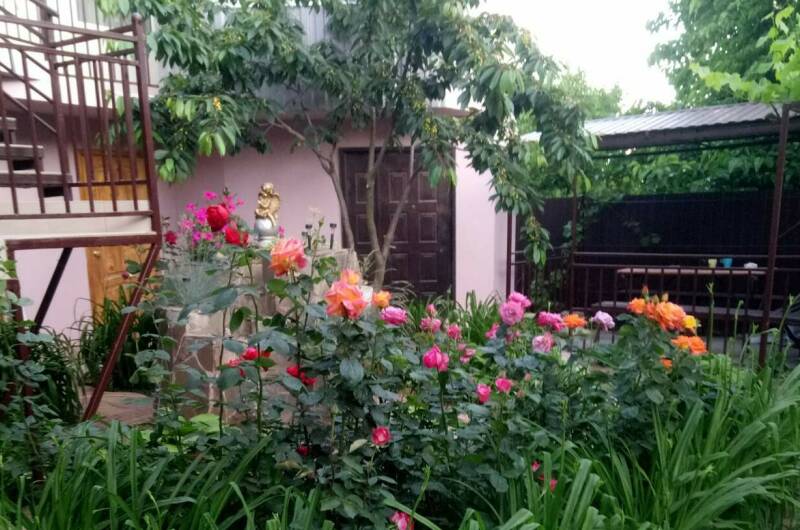 Изображение Изображение отеля / гостиницы "Гостевой дом «Алина»" #11 #9