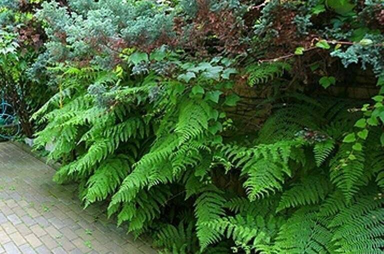 Изображение Изображение отеля / гостиницы "Коттедж «Отдых у Марины»" #11 #9