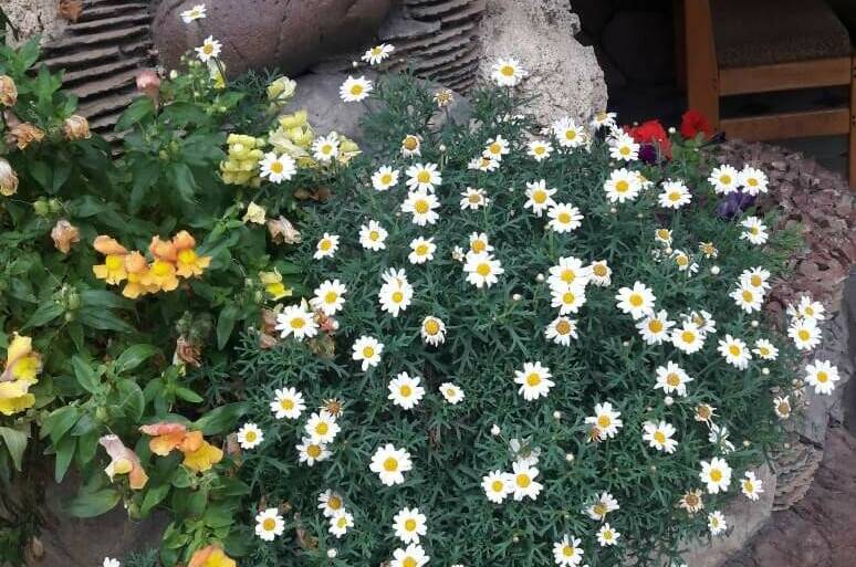 Изображение Изображение отеля / гостиницы "Гостевой дом «Тихая гавань»" #10 #8