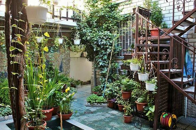 Изображение Изображение отеля / гостиницы "Гостевой дом «На Черноморской»" #10 #8