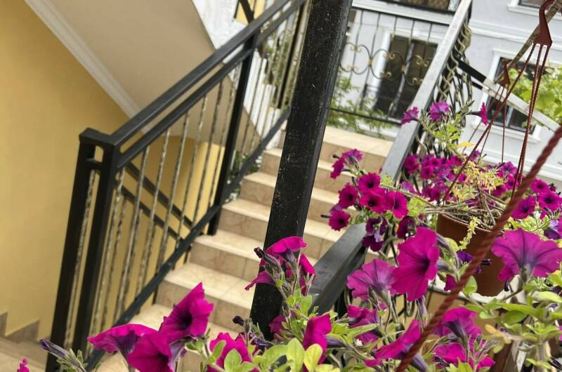 Изображение Изображение гостиницы "Guest house «Виктория»" #3 #3