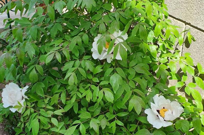 Изображение Изображение гостиницы &quot;Гостевой дом «Уютный»&quot; #2 #2