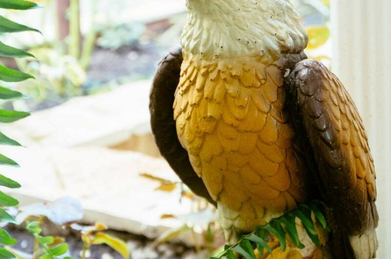 Изображение Изображение гостиницы "Гостевой дом «Sunlife»" #8 #8