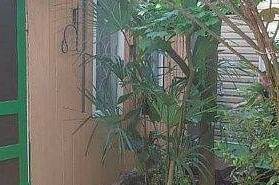 Изображение Изображение гостиницы &quot;Гостевой дом «Центр»&quot; #2 #2