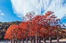 Изображение Изображение гостиницы &quot;Гостевой дом «Магеллан»&quot; #3 #3