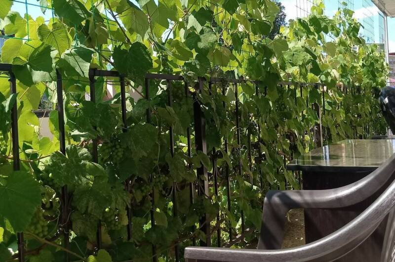 Изображение Изображение гостиницы "Гостевой дом «Виктория»" #6 #6