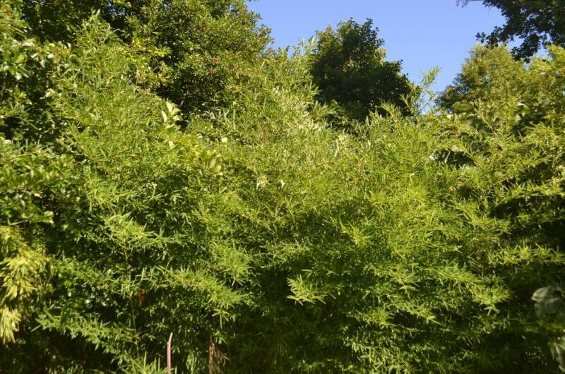 Изображение Изображение гостиницы "Гостевой дом «Виктория»" #8 #8