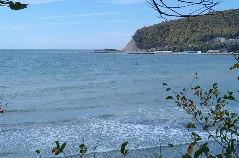 Изображение Изображение квартиры &quot;Апартаменты с видом на море&quot; #4 #4