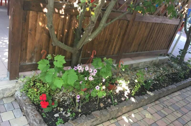 Изображение Изображение гостиницы &quot;Гостевой дом «У Ивана»&quot; #4 #4