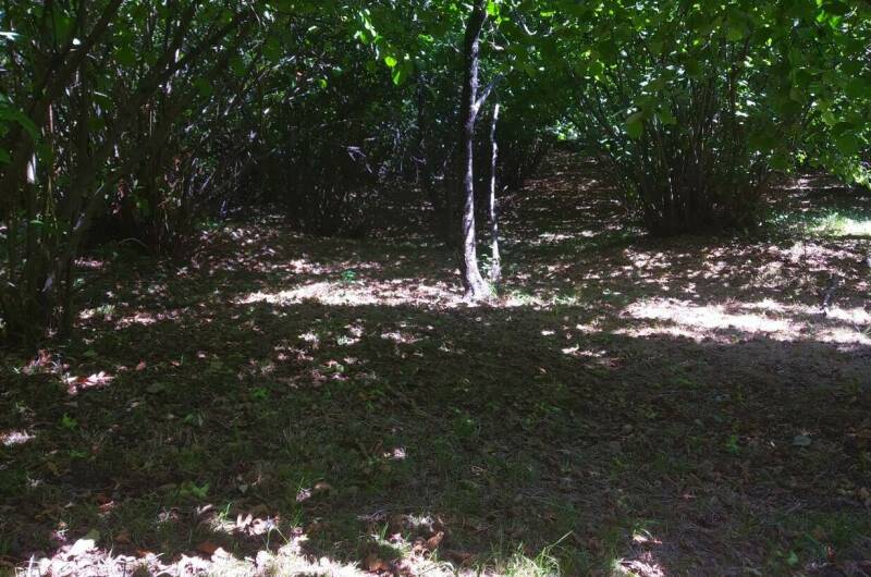 Изображение Изображение гостиницы "Гостевой дом «Ореховая роща»" #6 #6