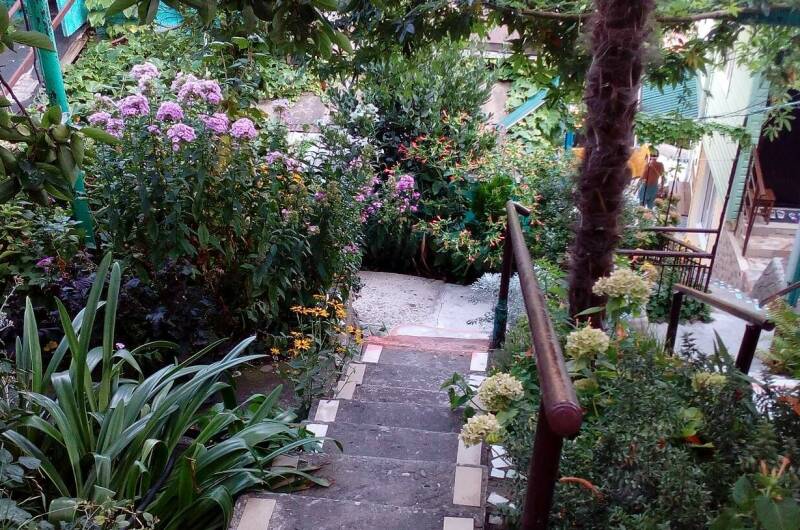 Изображение Изображение гостиницы &quot;Гостевой дом «Агава»&quot; #5 #5