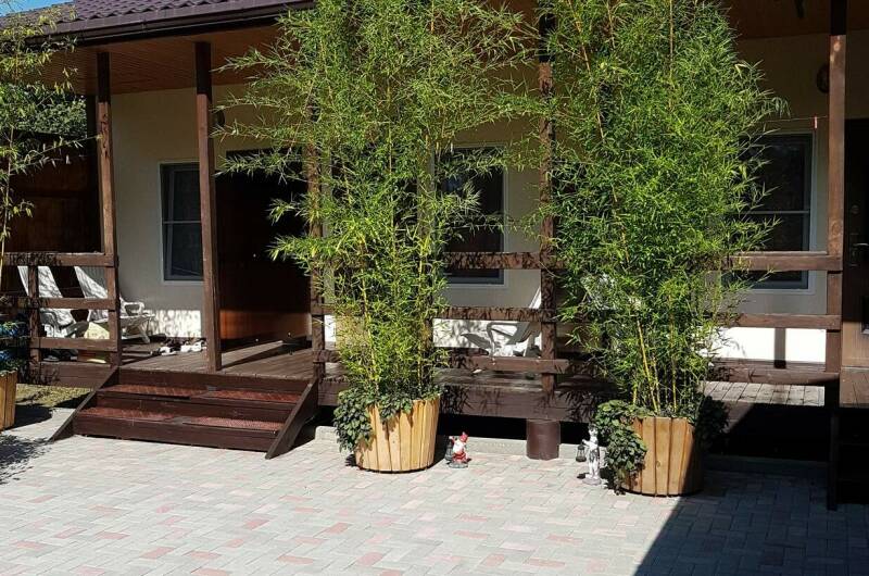 Изображение Изображение гостиницы "Гостевой дом «Светлая 5»" #2 #2