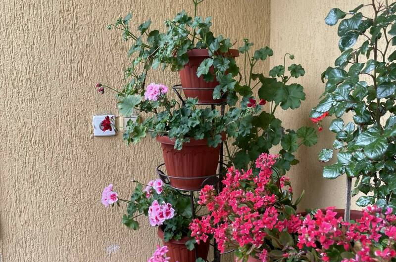 Изображение Изображение отеля / гостиницы "Гостевой дом «Жемчужина»" #10 #8