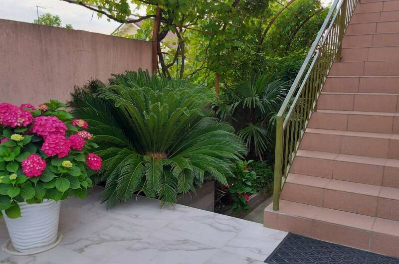 Изображение Изображение гостиницы "Гостевой дом «Черноморская жемчужина»" #7 #7