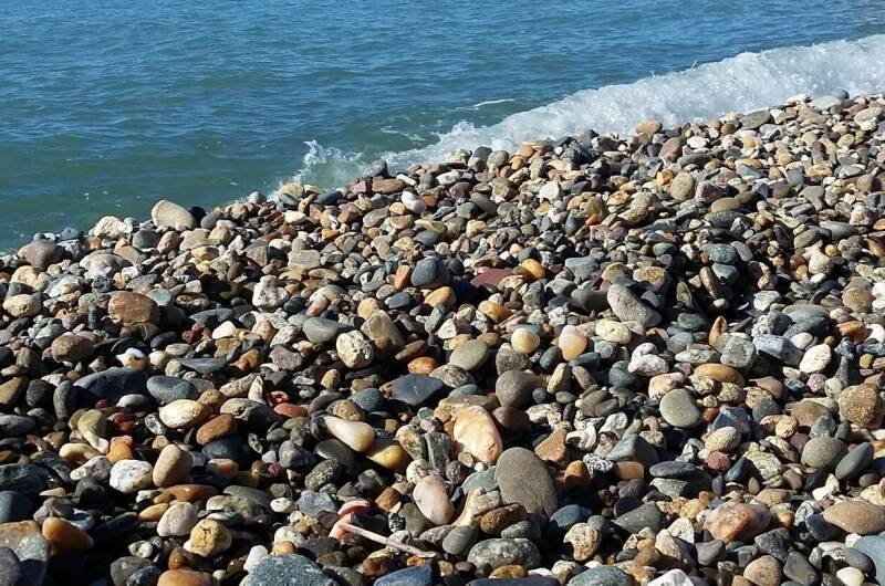 Изображение Изображение отеля / гостиницы "Гостевой дом «Черноморская жемчужина»" #10 #8