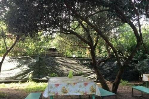 Изображение Изображение гостиницы "Гостевой дом «Приморский 7»" #4 #4