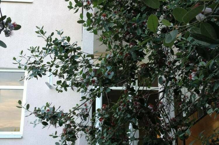 Изображение Изображение гостиницы "Гостевой дом «Приморский 7»" #7 #7