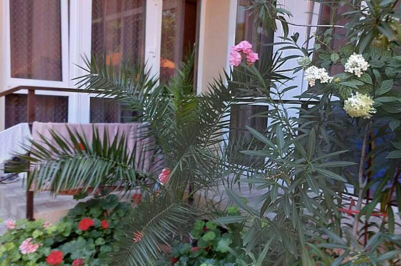 Изображение Изображение гостиницы &quot;Гостевой дом «Надежда»&quot; #7 #7