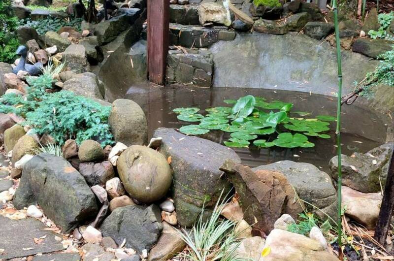 Изображение Изображение гостиницы "Гостевой дом «Зелёный остров»" #3 #3