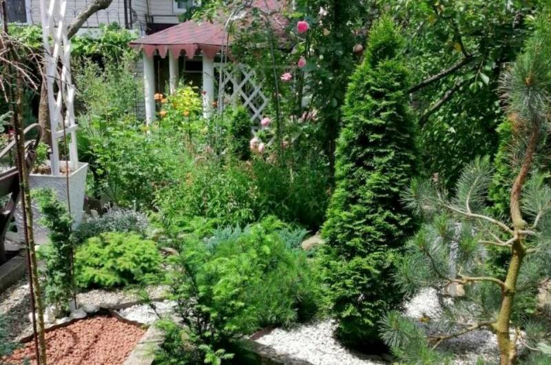 Изображение Изображение отеля / гостиницы "Гостевой дом «Зелёный остров»" #10 #8