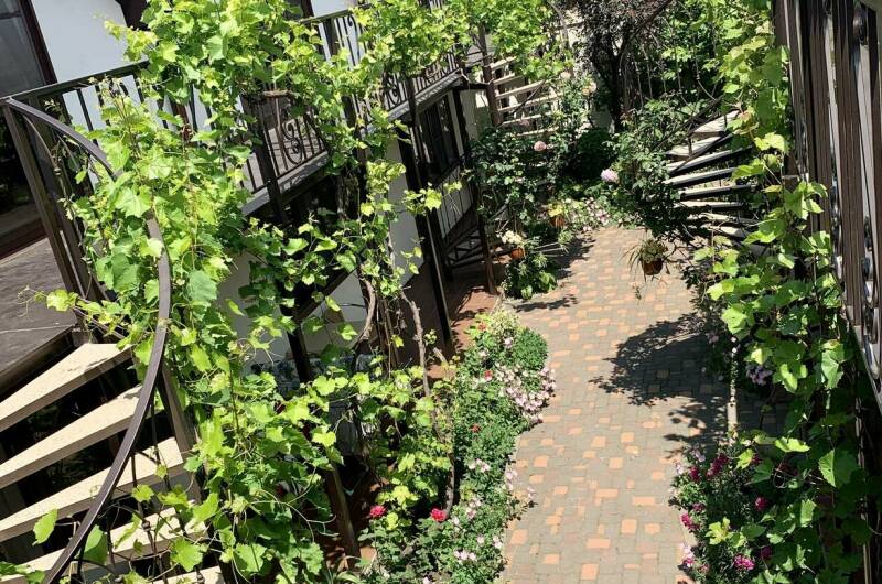 Изображение Изображение гостиницы "Гостевой дом «Sadorini»" #1 #1