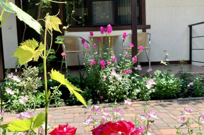 Изображение Изображение гостиницы "Гостевой дом «Sadorini»" #3 #3