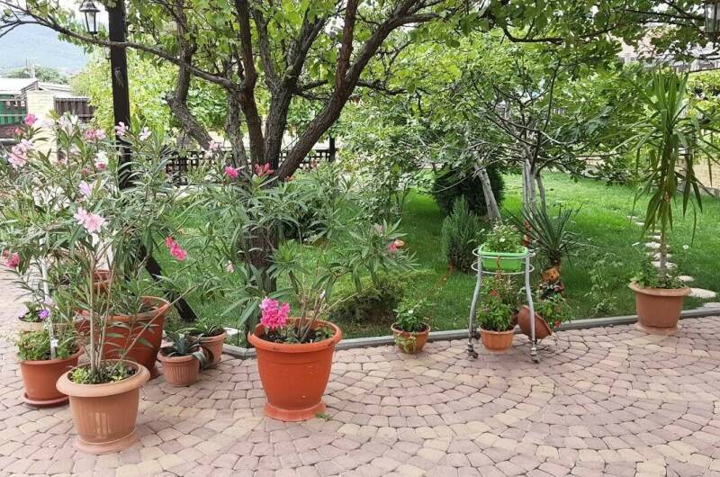 Изображение Изображение гостиницы "Гостевой дом «Sadorini»" #5 #5