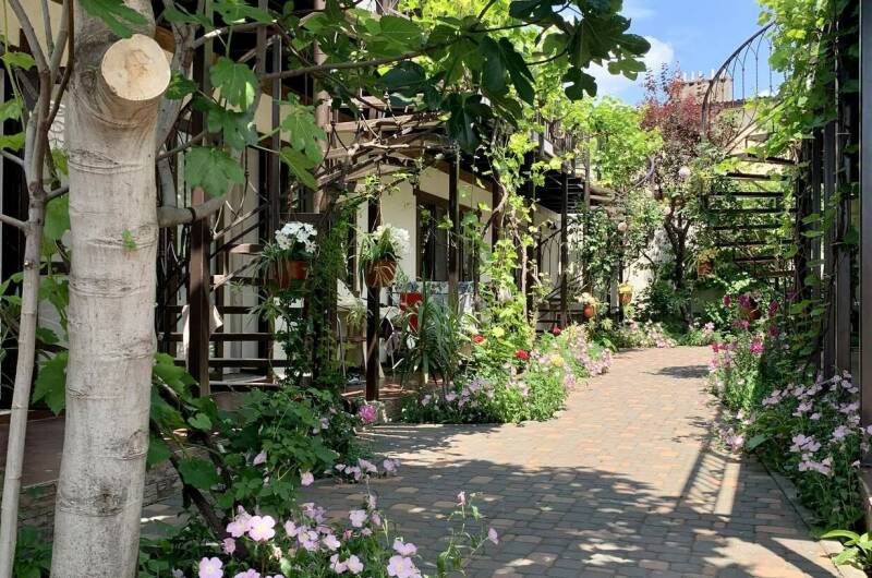 Изображение Изображение гостиницы "Гостевой дом «Sadorini»" #7 #7