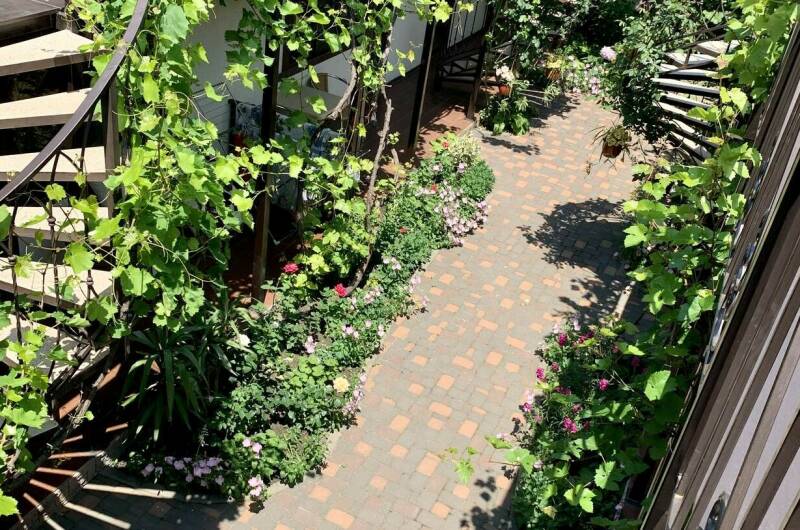 Изображение Изображение отеля / гостиницы "Гостевой дом «Sadorini»" #10 #8