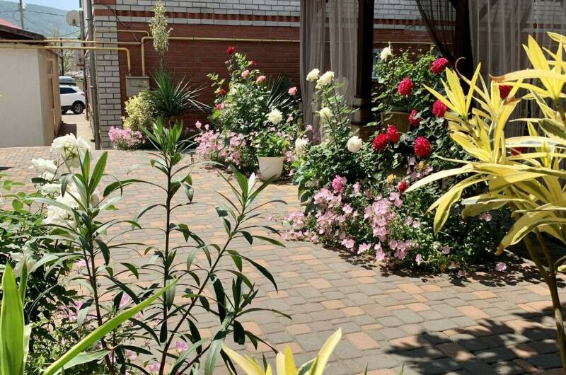 Изображение Изображение отеля / гостиницы "Гостевой дом «Sadorini»" #11 #9