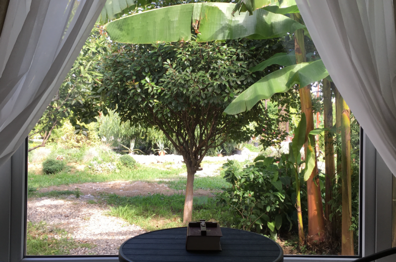 Изображение Изображение гостиницы &quot;Гостиница «Святая Абхазия»&quot; #5 #5