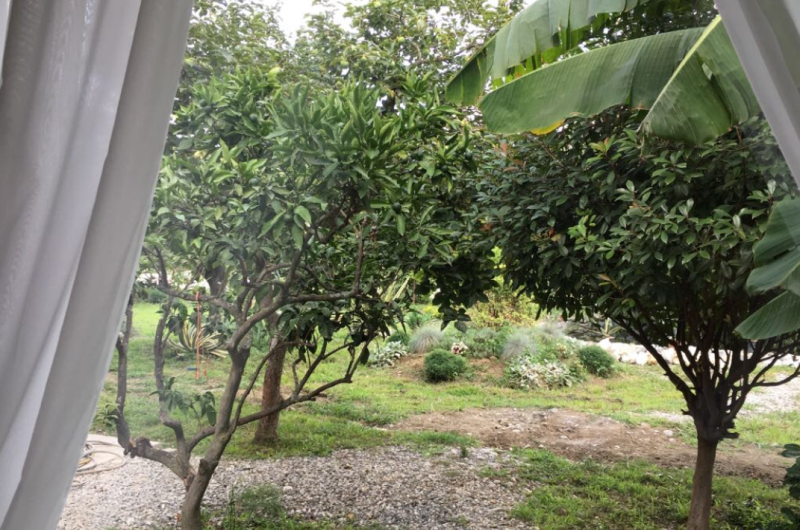 Изображение Изображение гостиницы &quot;Гостиница «Святая Абхазия»&quot; #8 #8