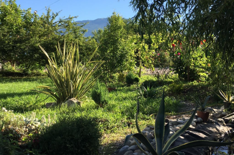 Изображение Изображение отеля / гостиницы "Гостиница «Святая Абхазия»" #10 #8